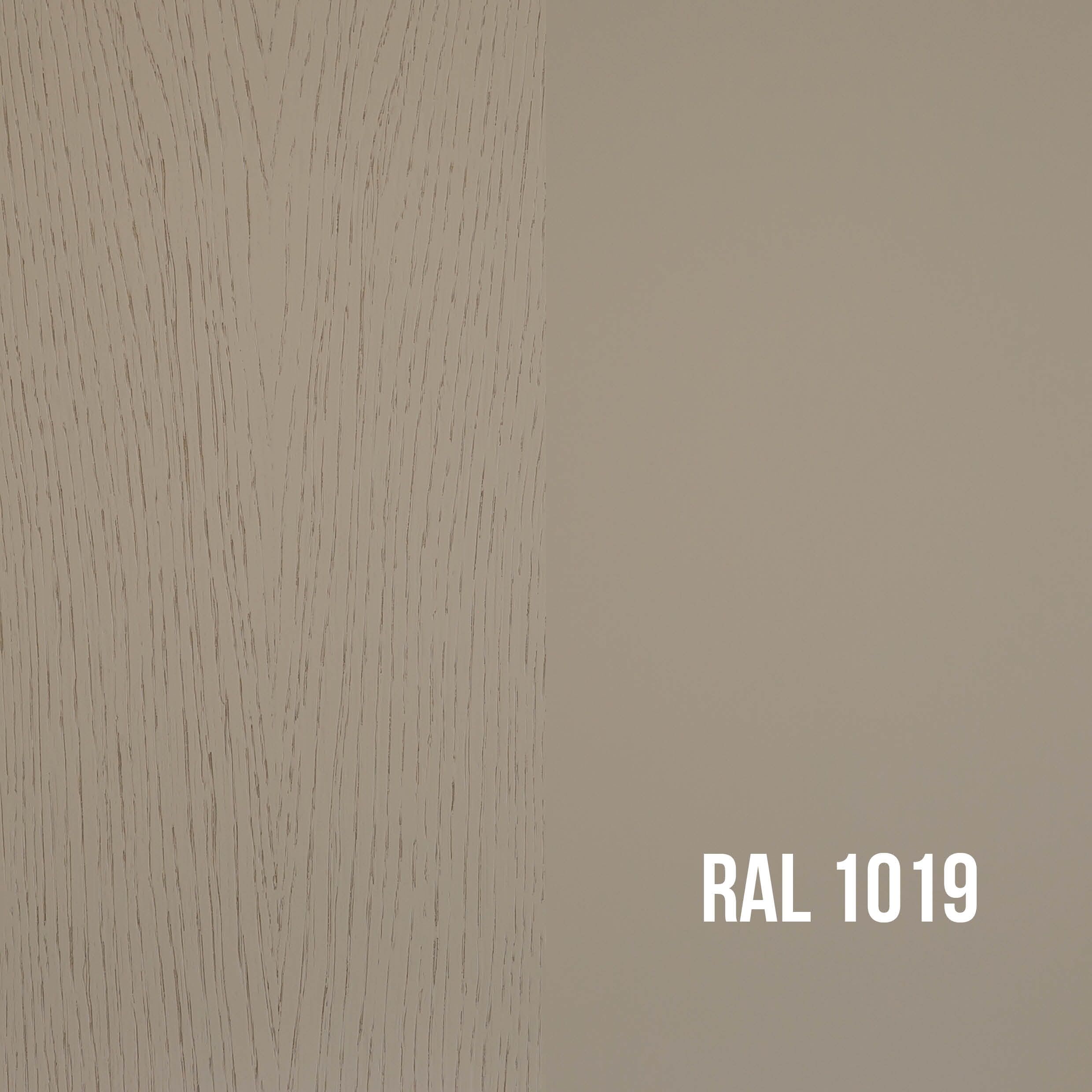 RAL 1019